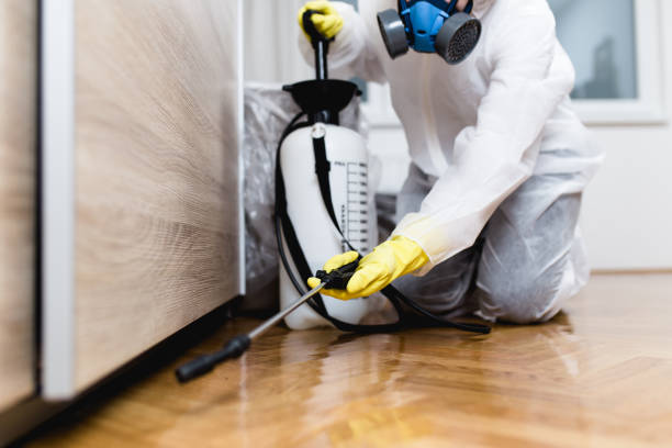 Best Bed Bug Extermination  in Amherst, VA