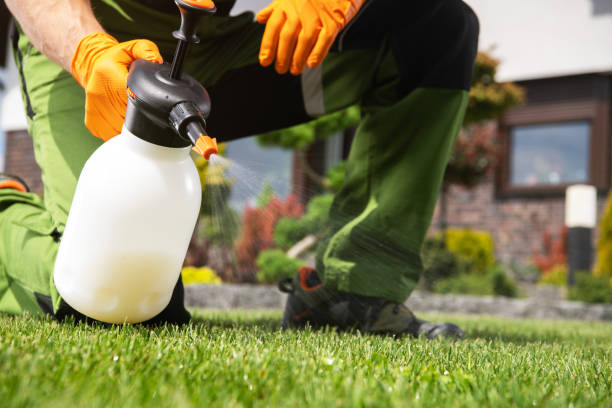 Wasp Removal Services in Amherst, VA