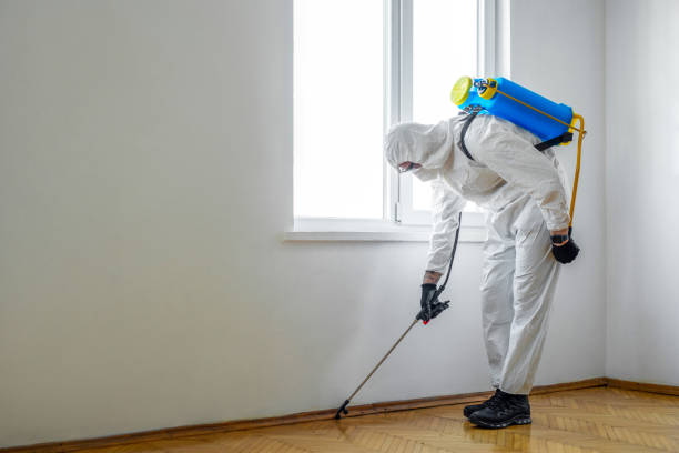 Best Commercial Pest Control Services  in Amherst, VA