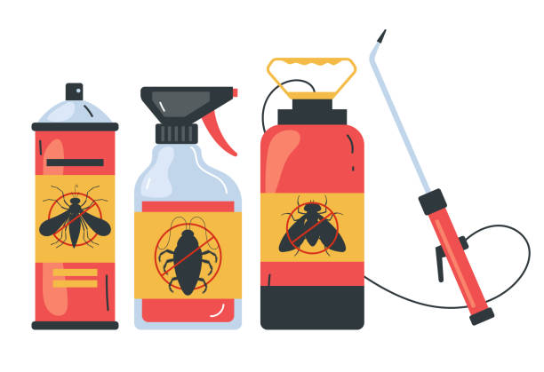 Best Termite Control Services  in Amherst, VA